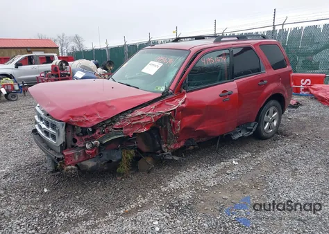 2012 Ford Escape Xlt from USA, damaged, VIN 1FMCU9DG9CKB52019